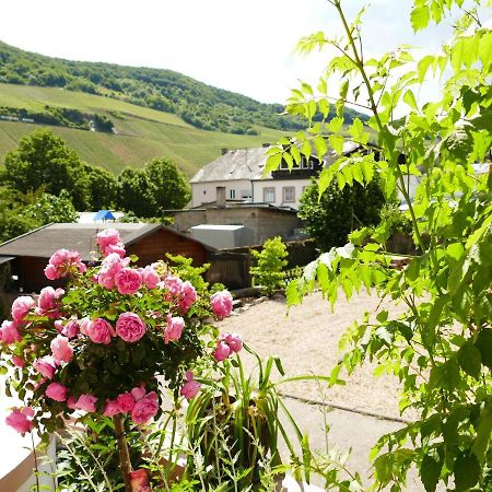 Appartement Ines à Trittenheim Extérieur photo